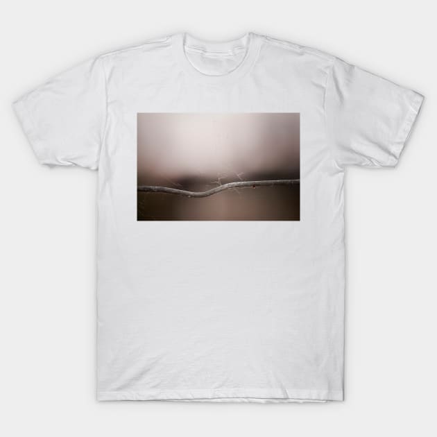 the invisible architect T-Shirt by blumwurks